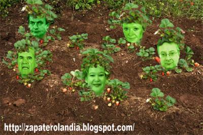 Los brotes verdes del Gobierno Zapatero